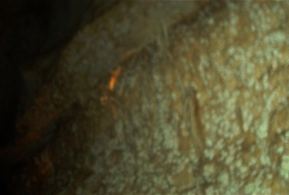 IM000083.jpg