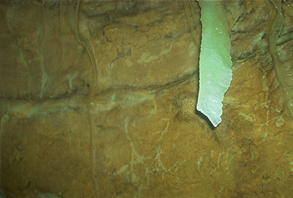 IM000108.jpg